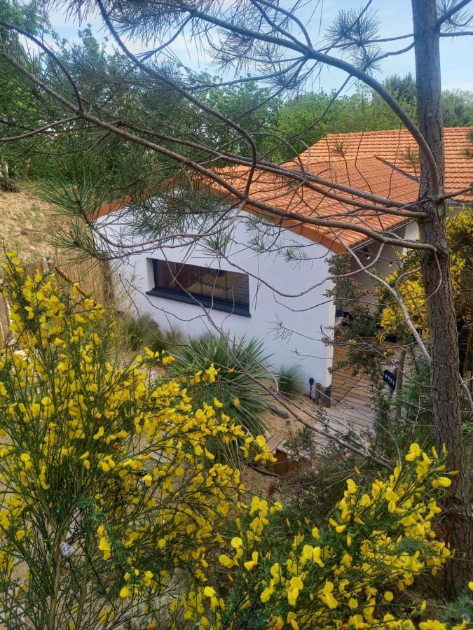 Cot'& Dune - Lodge D'Hote & Spa De Nage Saint-Augustin  Buitenkant foto